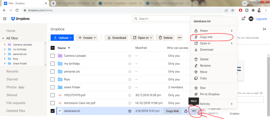 Dropbox Direct Download Link Generator instruction 2